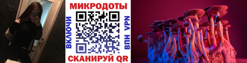 Галлюциногенные грибы Psilocybine cubensis  Арзамас 